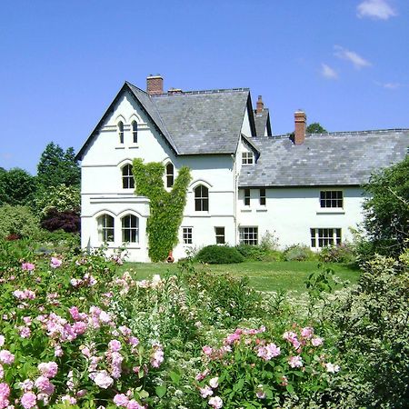 The Forest Country House B&B Ньютаун Экстерьер фото